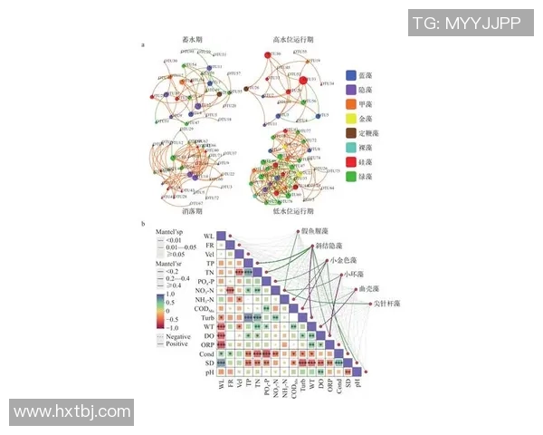 成都足球队在大师赛中的速度优势分析与表现点评
